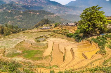 Panoramik Terraced pirinç alan bir yaz günü Sapa, Lao Cai, Vietnam