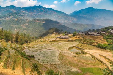 Panoramik Terraced pirinç alan bir yaz günü Sapa, Lao Cai, Vietnam
