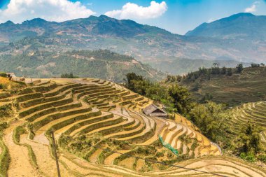 Panoramik Terraced pirinç alan bir yaz günü Sapa, Lao Cai, Vietnam