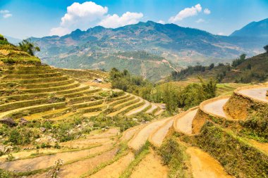Panoramik Terraced pirinç alan bir yaz günü Sapa, Lao Cai, Vietnam