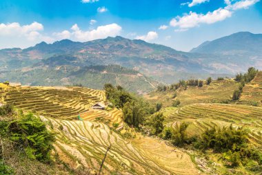 Panoramik Terraced pirinç alan bir yaz günü Sapa, Lao Cai, Vietnam