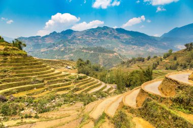 Panoramik Terraced pirinç alan bir yaz günü Sapa, Lao Cai, Vietnam