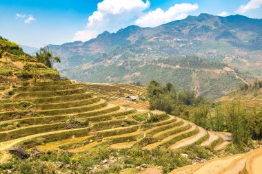 Panoramik Terraced pirinç alan bir yaz günü Sapa, Lao Cai, Vietnam