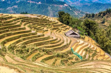 Panoramik Terraced pirinç alan bir yaz günü Sapa, Lao Cai, Vietnam