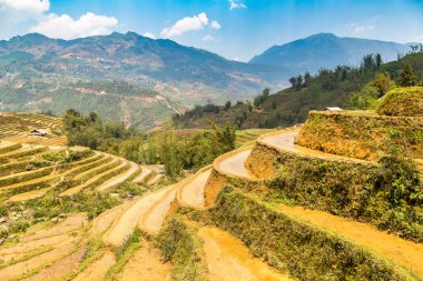 Panoramik Terraced pirinç alan bir yaz günü Sapa, Lao Cai, Vietnam