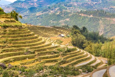Panoramik Terraced pirinç alan bir yaz günü Sapa, Lao Cai, Vietnam