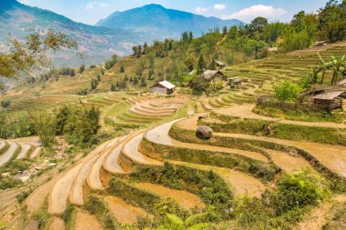 Panoramik Terraced pirinç alan bir yaz günü Sapa, Lao Cai, Vietnam