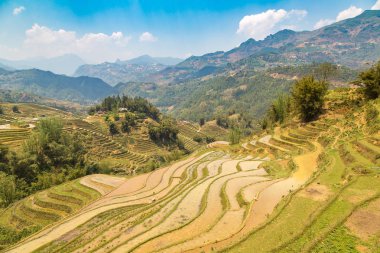 Panoramik Terraced pirinç alan bir yaz günü Sapa, Lao Cai, Vietnam