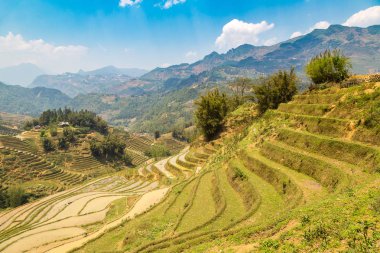 Panoramik Terraced pirinç alan bir yaz günü Sapa, Lao Cai, Vietnam