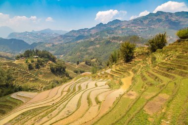Panoramik Terraced pirinç alan bir yaz günü Sapa, Lao Cai, Vietnam