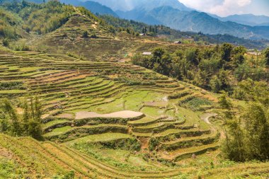 Panoramik Terraced pirinç alan bir yaz günü Sapa, Lao Cai, Vietnam