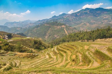 Panoramik Terraced pirinç alan bir yaz günü Sapa, Lao Cai, Vietnam