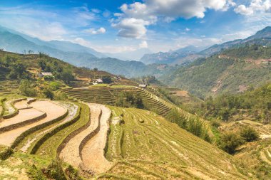 Panoramik Terraced pirinç alan bir yaz günü Sapa, Lao Cai, Vietnam