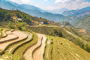 Panoramik Terraced pirinç alan bir yaz günü Sapa, Lao Cai, Vietnam