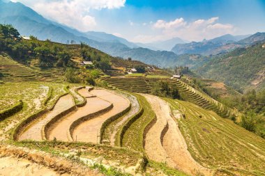 Panoramik Terraced pirinç alan bir yaz günü Sapa, Lao Cai, Vietnam