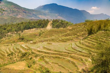 Panoramik Terraced pirinç alan bir yaz günü Sapa, Lao Cai, Vietnam