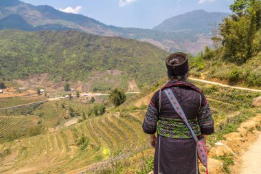 Bir yaz günü Terraced pirinç alan Sapa, Lao Cai, Vietnam, geleneksel giysiler giyen kadın