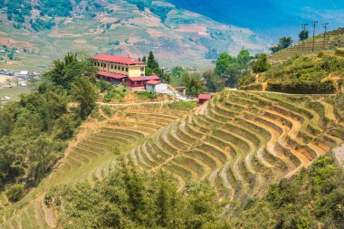 Panoramik Terraced pirinç alan bir yaz günü Sapa, Lao Cai, Vietnam