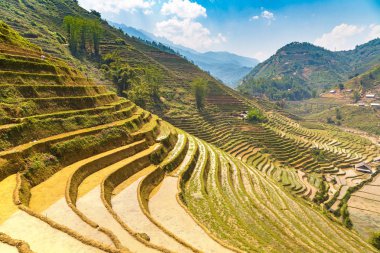 Panoramik Terraced pirinç alan bir yaz günü Sapa, Lao Cai, Vietnam