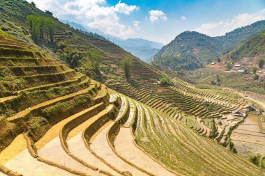 Panoramik Terraced pirinç alan bir yaz günü Sapa, Lao Cai, Vietnam