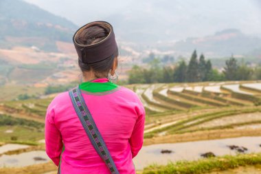 Bir yaz günü Terraced pirinç alan Sapa, Lao Cai, Vietnam, geleneksel giysiler giyen kadın