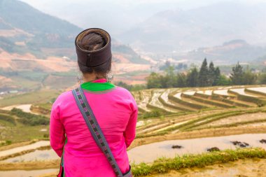 Bir yaz günü Terraced pirinç alan Sapa, Lao Cai, Vietnam, geleneksel giysiler giyen kadın