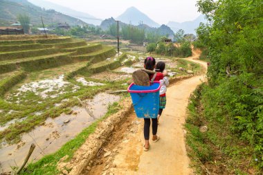 Bir yaz günü pirinç alan Sapa, Lao Cai, Vietnam etnik azınlık çocuk çalışma