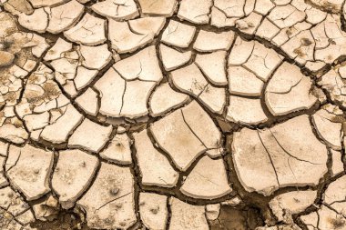Kuru toprak ve kırık yere arka planda bir yaz günü