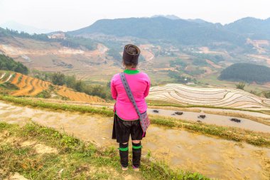 Bir yaz günü Terraced pirinç alan Sapa, Lao Cai, Vietnam, geleneksel giysiler giyen kadın