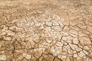 Kuru toprak ve kırık yere arka planda bir yaz günü