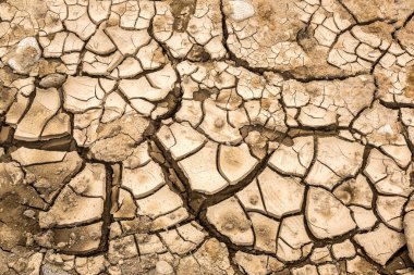 Kuru toprak ve kırık yere arka planda bir yaz günü
