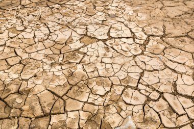 Kuru toprak ve kırık yere arka planda bir yaz günü