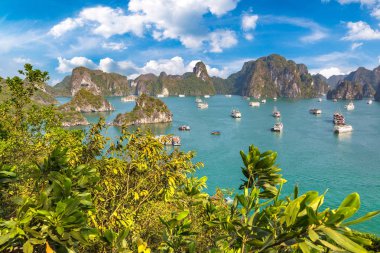 Bir yaz günü Vietnam'da Halong Körfezi panoramik havadan görünümü