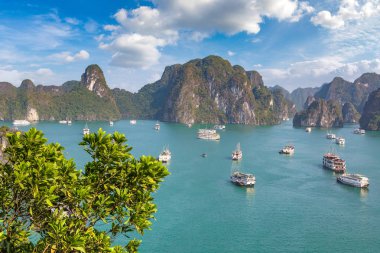 Bir yaz günü Vietnam'da Halong Körfezi panoramik havadan görünümü
