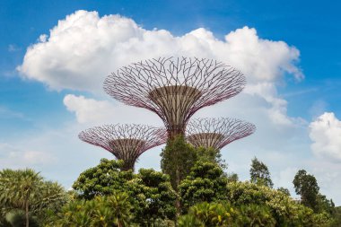 SINGAPORE - 23 Haziran 2018 'de Marina Körfezi Sands Oteli yakınlarındaki Singapur Körfezi yakınlarındaki Gardens' taki Supertree Grove