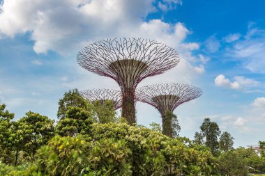 SINGAPORE - 23 Haziran 2018 'de Marina Körfezi Sands Oteli yakınlarındaki Singapur Körfezi yakınlarındaki Gardens' taki Supertree Grove