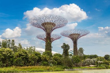 Singapur - 23 Haziran 2018: Supertree Grove Gardens koy ve Marina Bay Sands hotel yaz günü adlı yakınlarında Singapur serada tarafından