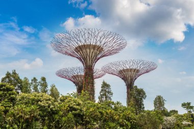 SINGAPORE - 23 Haziran 2018 'de Marina Körfezi Sands Oteli yakınlarındaki Singapur Körfezi yakınlarındaki Gardens' taki Supertree Grove