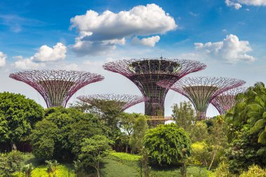 SINGAPORE - 23 Haziran 2018 'de Marina Körfezi Sands Oteli yakınlarındaki Singapur Körfezi yakınlarındaki Gardens' taki Supertree Grove