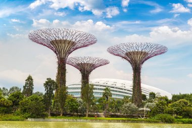 Singapur - 23 Haziran 2018: Supertree Grove Gardens koy ve Marina Bay Sands hotel yaz günü adlı yakınlarında Singapur serada tarafından