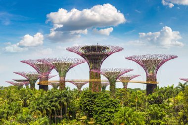 SINGAPORE - 23 Haziran 2018 'de Marina Körfezi Sands Oteli yakınlarındaki Singapur Körfezi yakınlarındaki Gardens' taki Supertree Grove