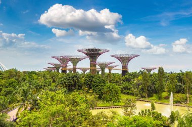 SINGAPORE - 23 Haziran 2018 'de Marina Körfezi Sands Oteli yakınlarındaki Singapur Körfezi yakınlarındaki Gardens' taki Supertree Grove