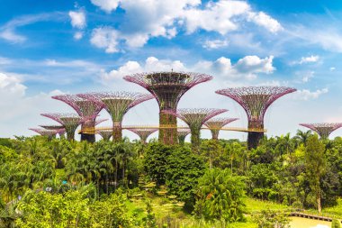 SINGAPORE - 23 Haziran 2018 'de Marina Körfezi Sands Oteli yakınlarındaki Singapur Körfezi yakınlarındaki Gardens' taki Supertree Grove