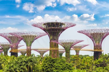 Singapur - 23 Haziran 2018: Supertree Grove Gardens Körfez Marina Bay Sands hotel yaz geceleri yakınındaki Singapur geçit