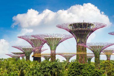 Singapur - 23 Haziran 2018: Supertree Grove Gardens Körfez Marina Bay Sands hotel yaz geceleri yakınındaki Singapur geçit