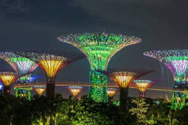 Singapur - 23 Haziran 2018: Supertree Grove Gardens Körfez Marina Bay Sands hotel yaz geceleri yakınındaki Singapur'da