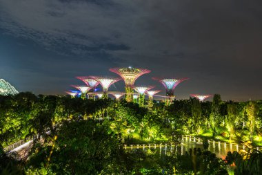 Singapur - 23 Haziran 2018: Supertree Grove Gardens Körfez Marina Bay Sands hotel yaz geceleri yakınındaki Singapur'da