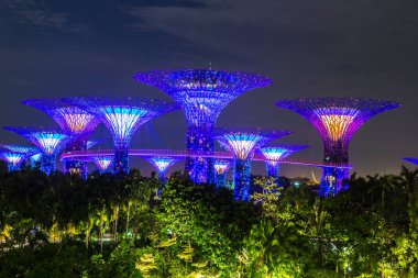 Singapur - 23 Haziran 2018: Supertree Grove Gardens Körfez Marina Bay Sands hotel yaz geceleri yakınındaki Singapur'da