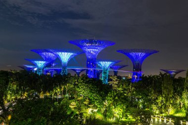 Singapur - 23 Haziran 2018: Supertree Grove Gardens Körfez Marina Bay Sands hotel yaz geceleri yakınındaki Singapur'da