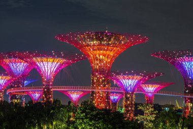 Singapur - 23 Haziran 2018: Supertree Grove Gardens Körfez Marina Bay Sands hotel yaz geceleri yakınındaki Singapur'da